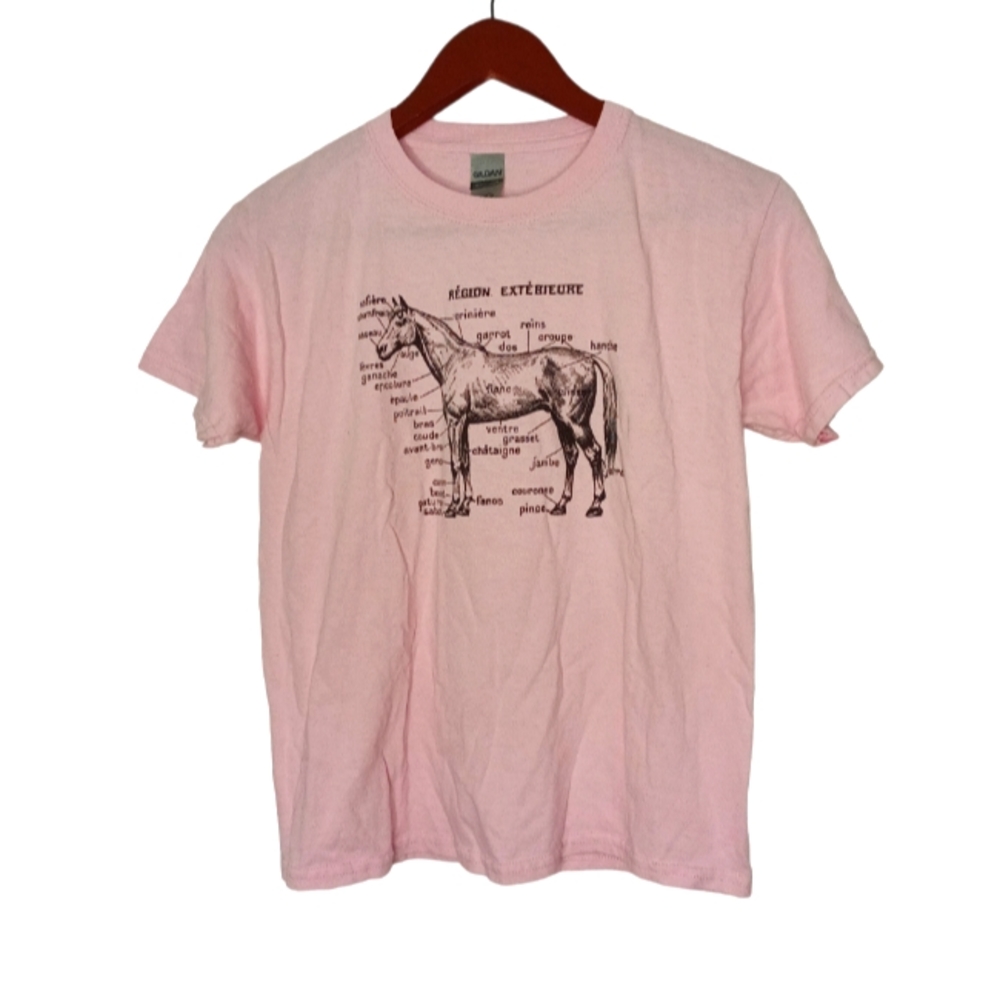T-Shirt with Horse External Anatomy in French